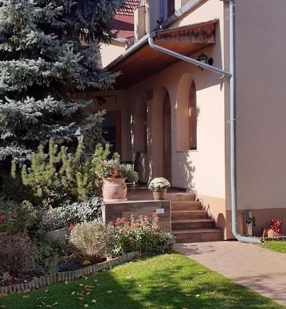 Готель Kenguru Panzio Говдмезиввашаргей Екстер'єр фото